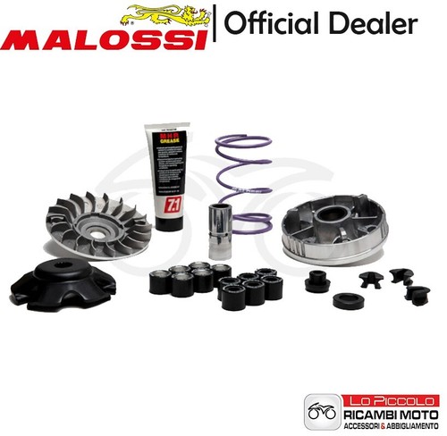 5118238 variatore malossi mhr - variatore,