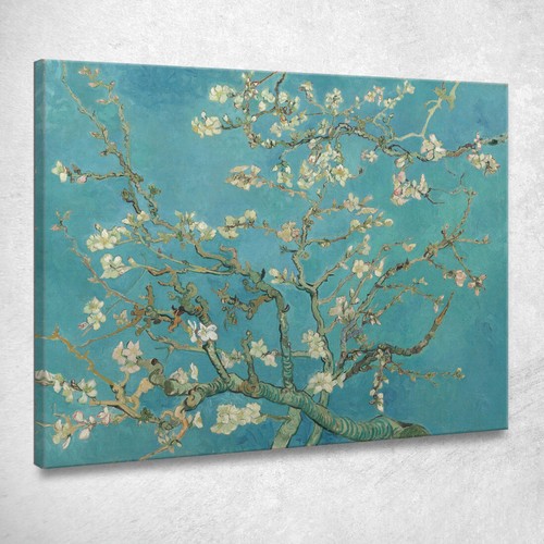 Fiori mandorlo vincent van - di,