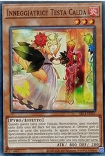 Inneggiatrice Testa Calda -