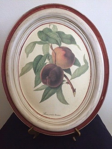 Targa ovale vintage - , da