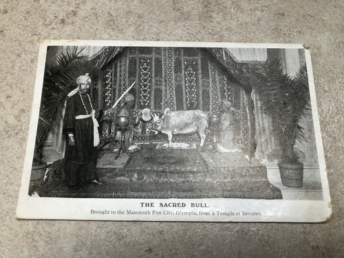1908 postcard the sacred - postcard,
