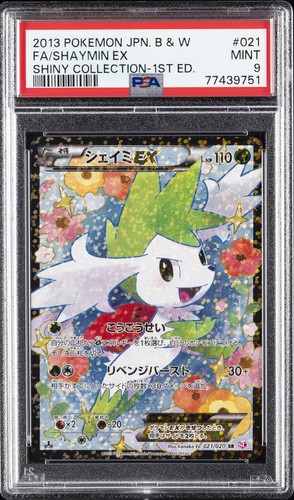 2013 pokemon giapponese - 2013,