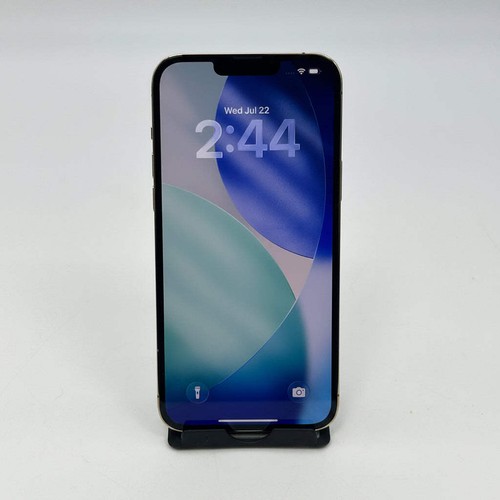 Apple iphone pro max - 13, a2484