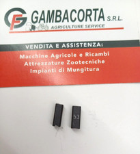 Coppia Spazzole 4 X 3.8