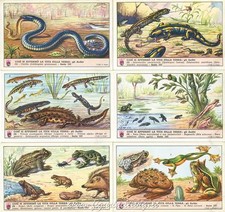 Figurine Lavazza serie n°197