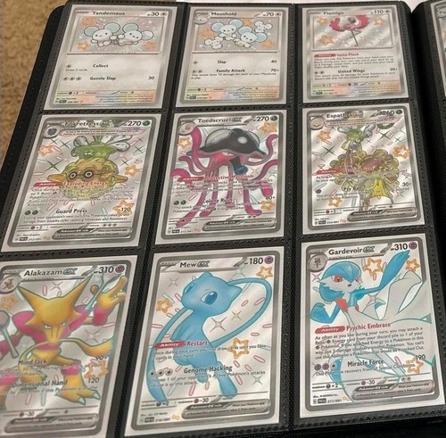 Lotto 100 carte pokemon - lotto,