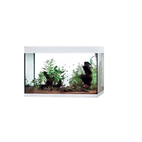Acquario verticale askoll pure - acquario,