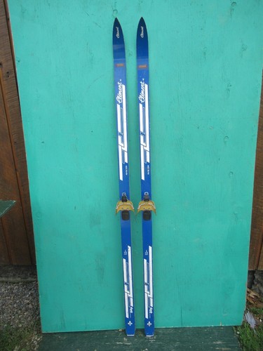 Vecchi sci neve vintage - da,