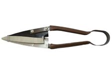 FORBICI PER TOSARE TOSATURA