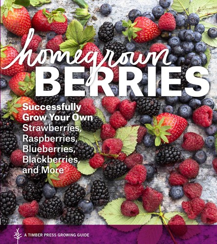 Homegrown berries - homegrown,