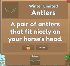 Isole Cavalli Selvaggi 🌸