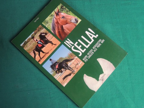 L68 prockl in sella - l68-, -in