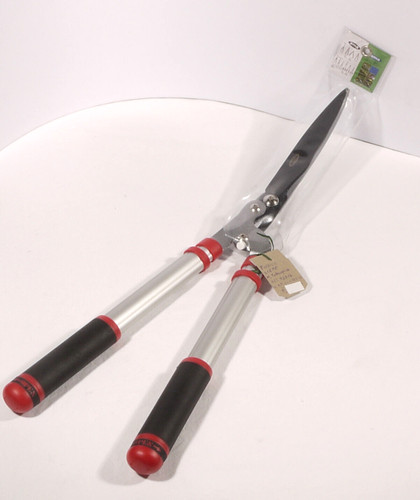Prl hedge pruning - hedge,