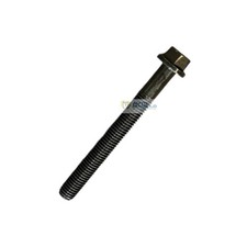 Vite perno testata lombardini