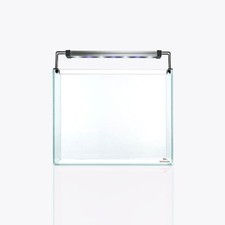 Acquario Twinstar Strideways