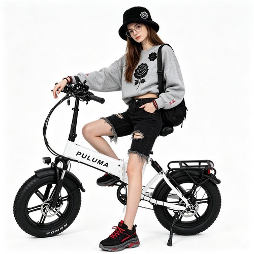 Bicicletta elettrica
