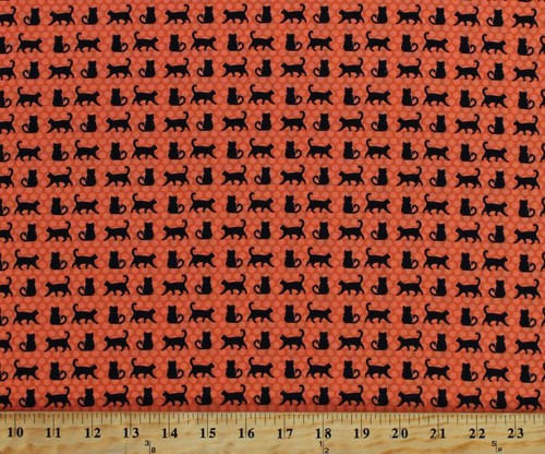 Cotone nero gatti - gatti, animali