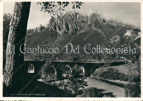 1955 cerveno ponte - cerveno?,
