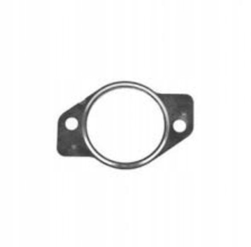 Guarnizione tubo egr - tubo,