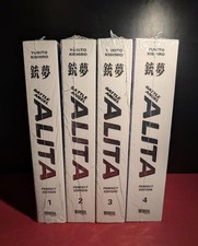 Battle Angel Alita Perfect