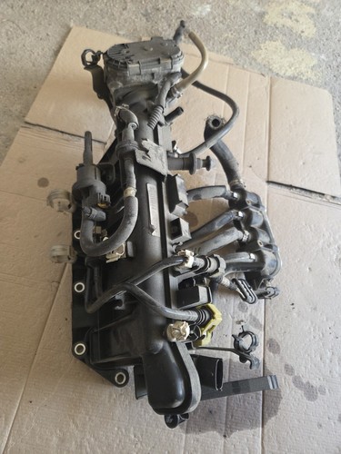 Collettore aspirazione 5lancia - collettore,