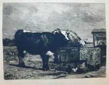 Abbeveratoio Incisione Acqua