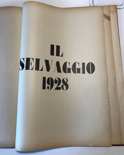 Selvaggio annata completa - il,
