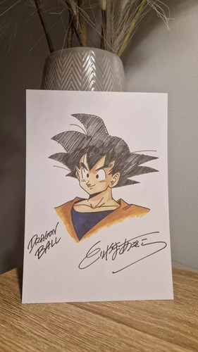 Akira toriyama signed - akira,