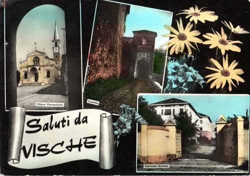 Vische saluti torino - vische,
