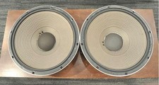 Coppia woofer da 15 pollici ad