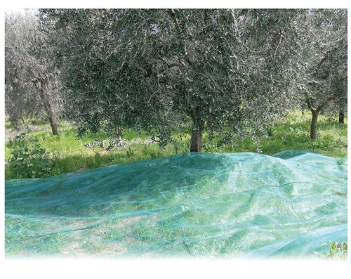 Rete per olive - rete,