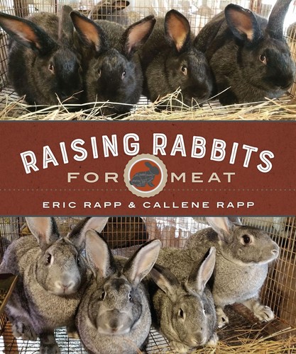 Raising rabbits for meat - raising,