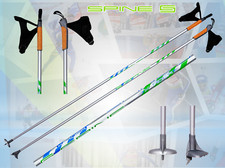 Bastone sci fondo spine - da, di