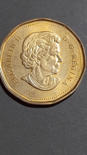 Canada dollaro 2010100 - dollaro,, 2010100°