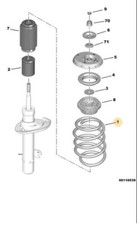 Front suspension spring - front,