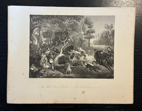 1850 the wild boar - hunt, rubens