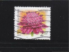 SINGAPORE 2007 FIORE - TORCIA