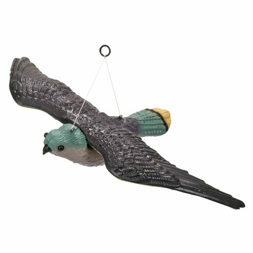 Falco spaventapasseri - falco,