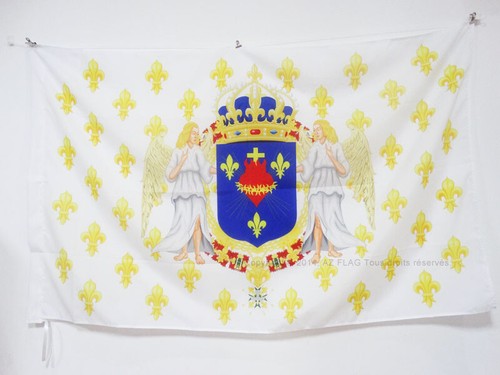 Bandiera regno francia - regno, di