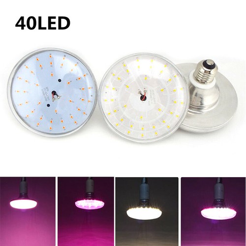 Led luce coltivazione - 40,