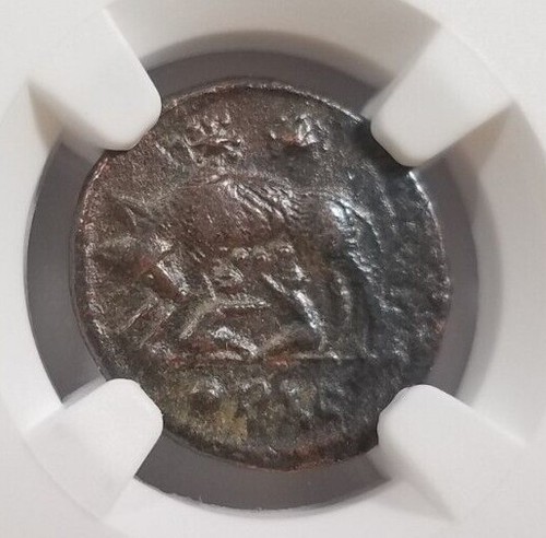 Gemelli lupo costantino ngc - lupo,