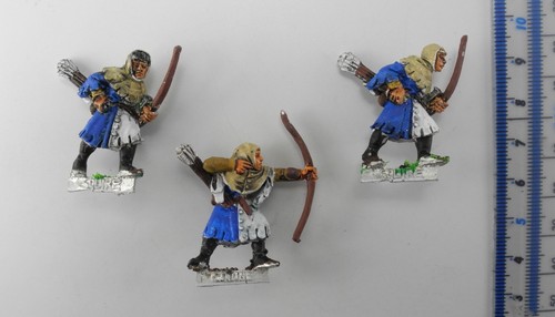 Squire bretonnian - squire,