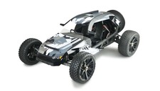 BUGGY HAMMERHEAD V2 BRUSHLESS