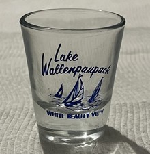Lago Wallenpaupack Pennsylvania Souvenir Shot Bicchiere Vintage