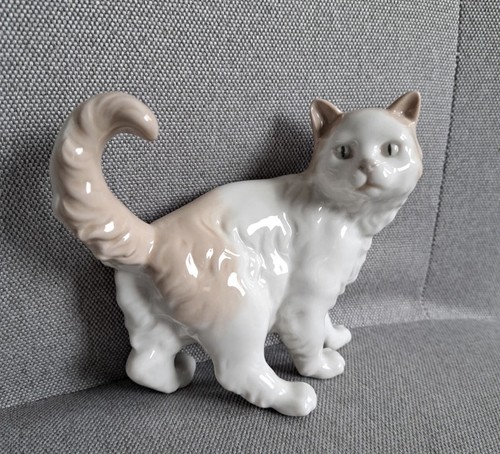 Gatto gato cat vintage - gato,