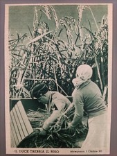 Cartolina 2° Guerra Mondiale