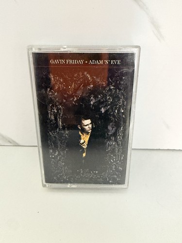 Gavin friday adam - gavin, n