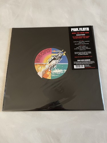Pink floyd wish you - pink,