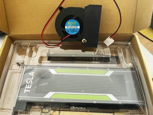 Scheda grafica gpu nvidia - scheda,