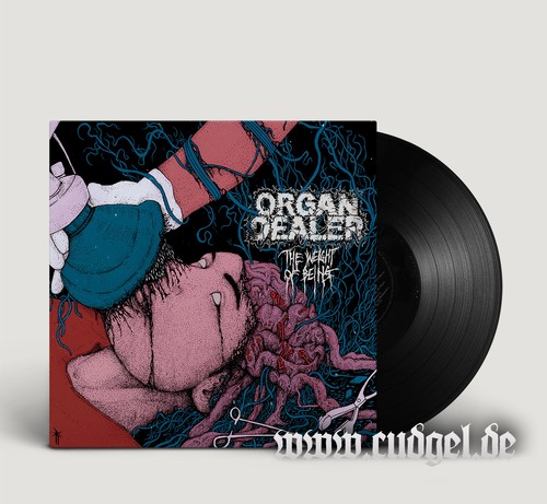 Organ dealer the - organ,
